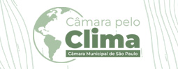 COP 30
